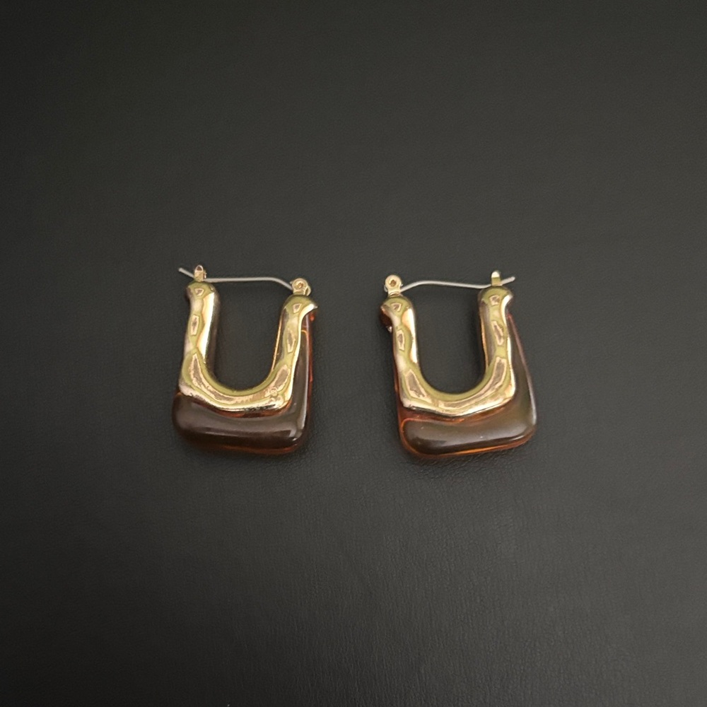 Gold and Brown Resin Earrings